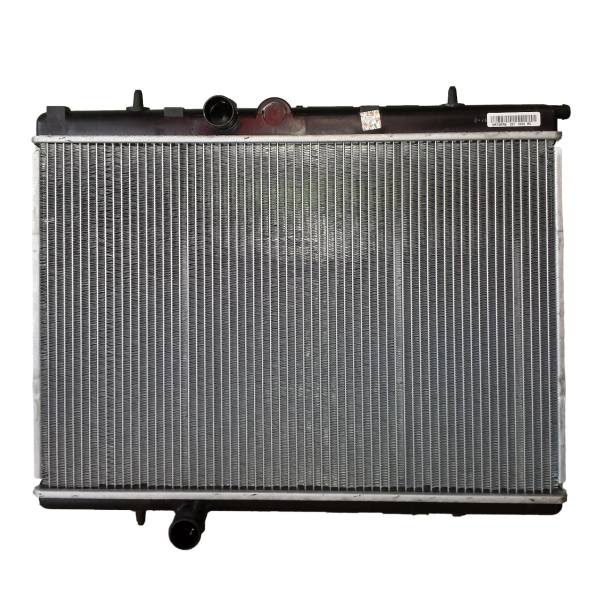 رادیاتور دو لول 405