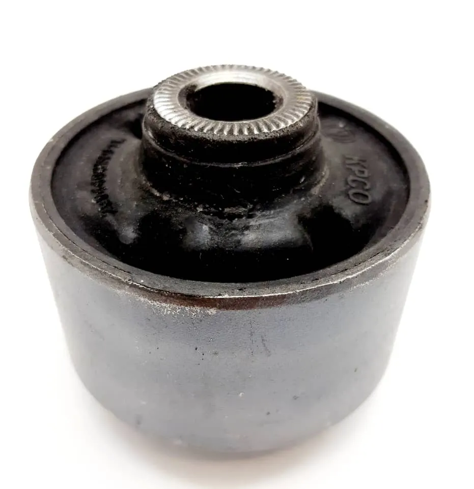 بوش طبق اریو