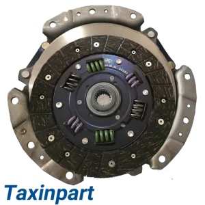 دیسک صفحه تاکسین